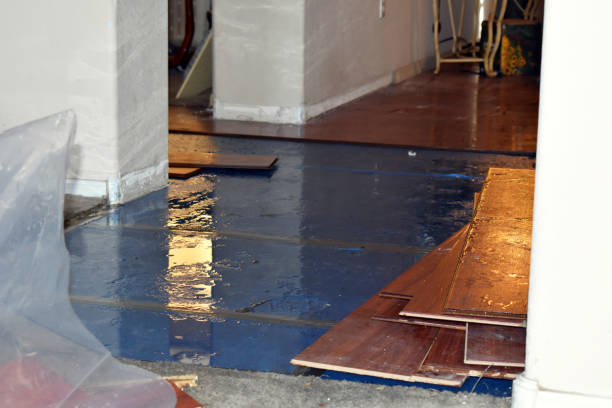 Professional Water Extraction technician working in Solana Beach, CA